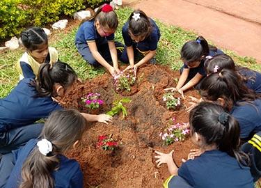 Niños plantando en un huerto Niños plantando en un huerto