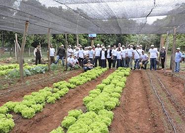 Grupo de personas en un cultivo Grupo de personas en un cultivo