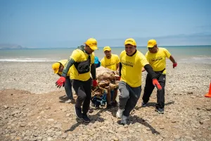 La Fuerza de lo que SOMOS